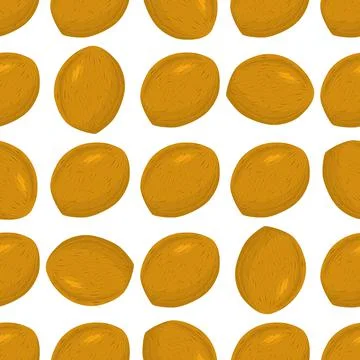 Illustration on theme big pattern identical types walnut Stock Illustration