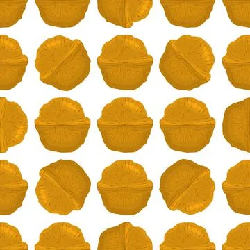 Illustration on theme big pattern identical types walnut Illustrazione stock