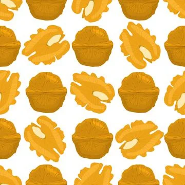 Illustration on theme big pattern identical types walnut Illustrazione stock