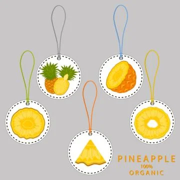 Illustration on theme big set different types yellow tropical pineapple 스톡 일러스트