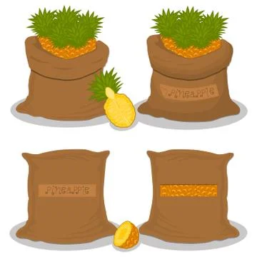 Illustration on theme big set different types pineapple Stock Illustration