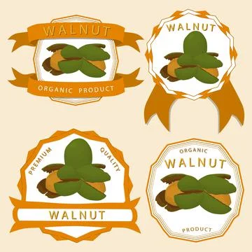 Illustration on theme big set different types walnut in nutshell Stock Illustration