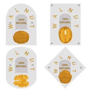 Illustration on theme big set different types walnut in nutshell Stock Illustration