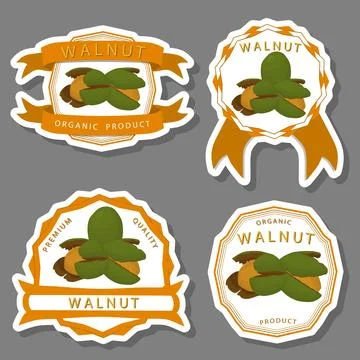 Illustration on theme big set different types walnut in nutshell Stock Illustration