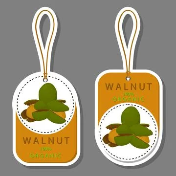 Illustration on theme big set different types walnut in nutshell Stock Illustration