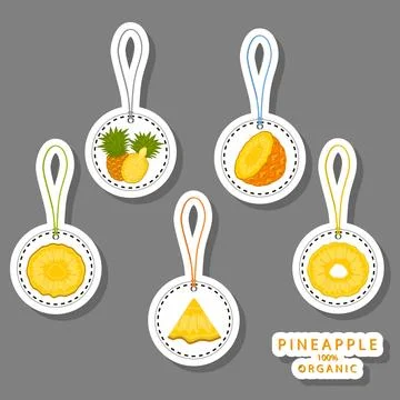 Illustration on theme big set different types yellow tropical pineapple Stock-Illustration
