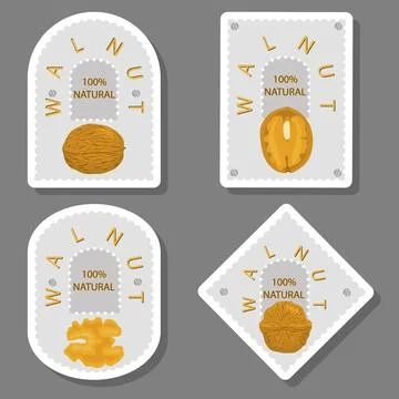 Illustration on theme big set different types walnut in nutshell Stock Illustration