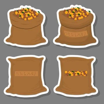 Illustration on theme big set different types spice nutmeg Stock Illustration