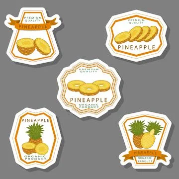Illustration on theme big set different types yellow tropical pineapple Stock-Illustration