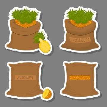 Illustration on theme big set different types pineapple イラスト素材