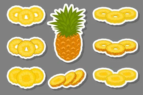 Illustration on theme big set different types yellow tropical pineapple Stock Illustration