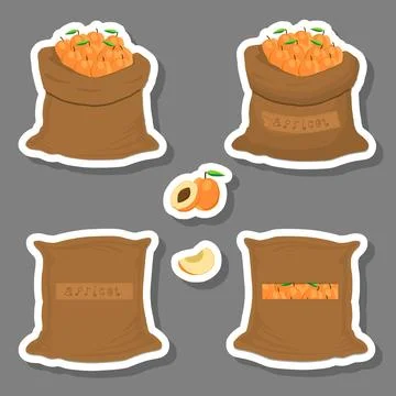Illustration on theme big set different types round apricot Stock Illustration