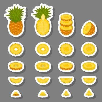 Illustration on theme big set different types yellow tropical pineapple Stock-Illustration