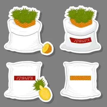 Illustration on theme big set different types pineapple Illustrazione stock