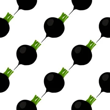 Illustration on theme of bright pattern black radish 스톡 일러스트