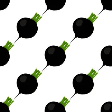 Illustration on theme of bright pattern black radish 스톡 일러스트