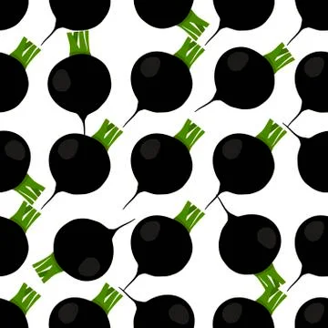 Illustration on theme of bright pattern black radish Stock Illustration