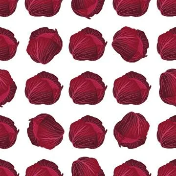 Illustration on theme of bright pattern rounded cabbage Ilustración de archivo