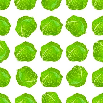 Illustration on theme of bright pattern rounded cabbage 스톡 일러스트