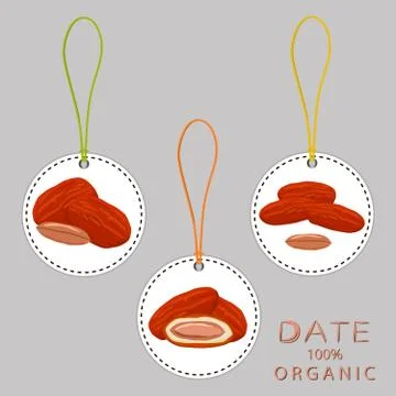 Illustration on theme different types of date fruit for healthy life Stock Illustration