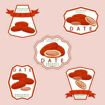 Illustration on theme different types of date fruit for healthy life Stock Illustration