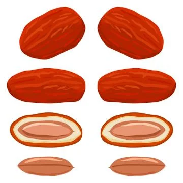 Illustration on theme different types of date fruit for healthy life Stock Illustration