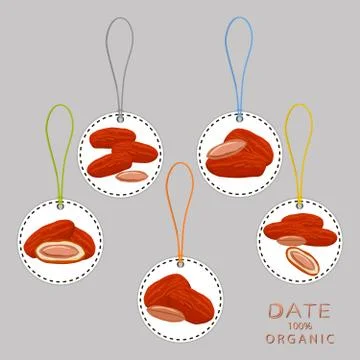 Illustration on theme different types of date fruit for healthy life Stock Illustration