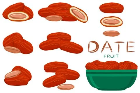 Illustration on theme different types of date fruit for healthy life Stock Illustration