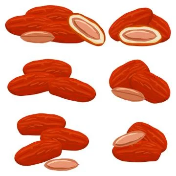 Illustration on theme different types of date fruit for healthy life Stock Illustration