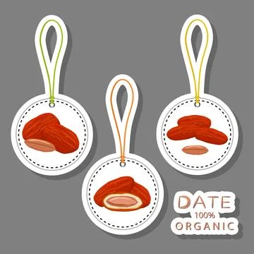 Illustration on theme different types of date fruit for healthy life Stock Illustration