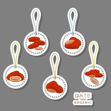 Illustration on theme different types of date fruit for healthy life Stock Illustration