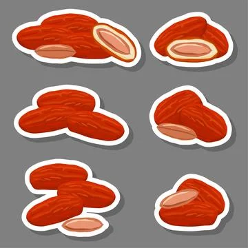 Illustration on theme different types of date fruit for healthy life Stock Illustration