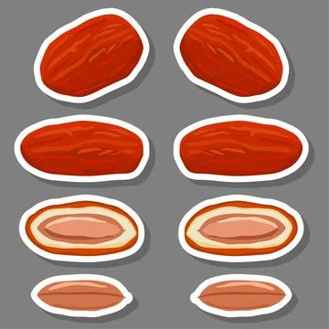 Illustration on theme different types of date fruit for healthy life Stock Illustration