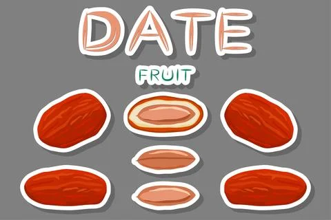 Illustration on theme different types of date fruit for healthy life Stock Illustration