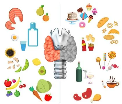 Illustration of thyroid and different products harmful and useful for it on w Stock Photos