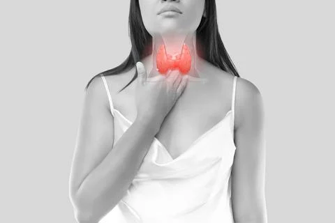 The illustration of the thyroid is on the woman's body Stock Photos