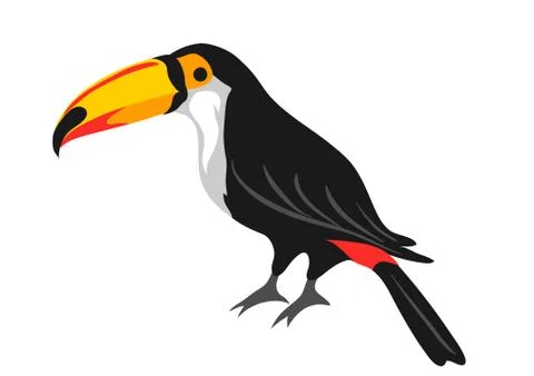 Illustration of toucan. Tropical exotic bird on white background. 스톡 일러스트