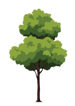 Illustration tree for cartoon Stock Illustration