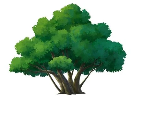 Illustration of a tree Stock Illustration