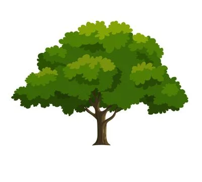 Illustration of a tree Stock Illustration