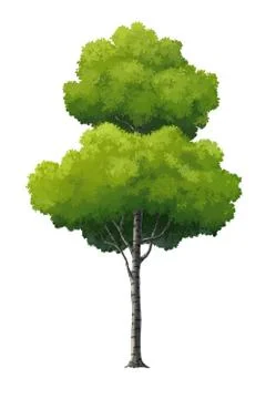 Illustration of a tree Stock Illustration