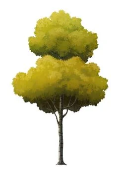 Illustration of a tree Stock Illustration