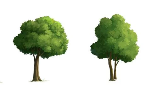 Illustration of a tree Stock Illustration