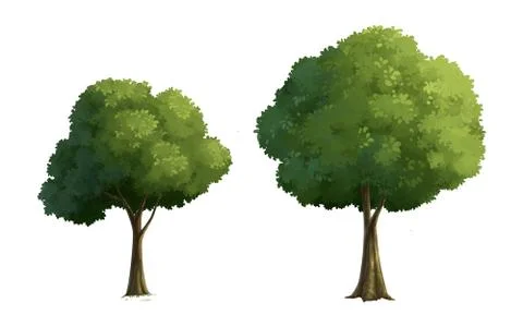 Illustration of a tree Stock Illustration