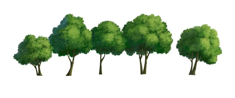 Illustration of a tree Stock Illustration