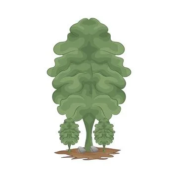 Illustration of tree Stock Illustration