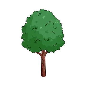 Illustration of tree 스톡 일러스트