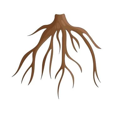 Illustration of Tree roots Stock Illustration