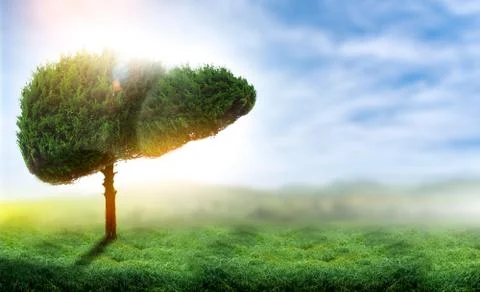 Illustration of a tree in the shape of a liver (environment and medicine) Stock Photos