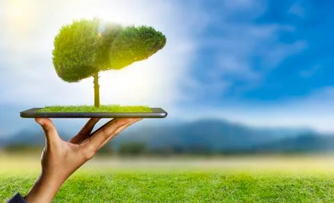 Illustration of a tree in the shape of a liver (environment and medicine) Stock Photos
